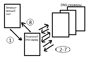DNS протокол wiresahark